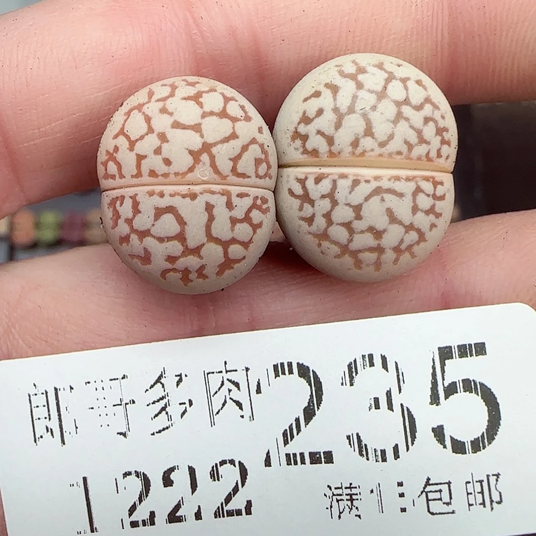 满满18包邮1222-235