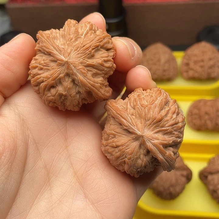 东***白球磨40全品。