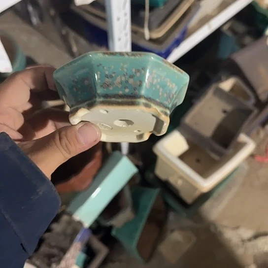 你就在家里吃好吧别想的