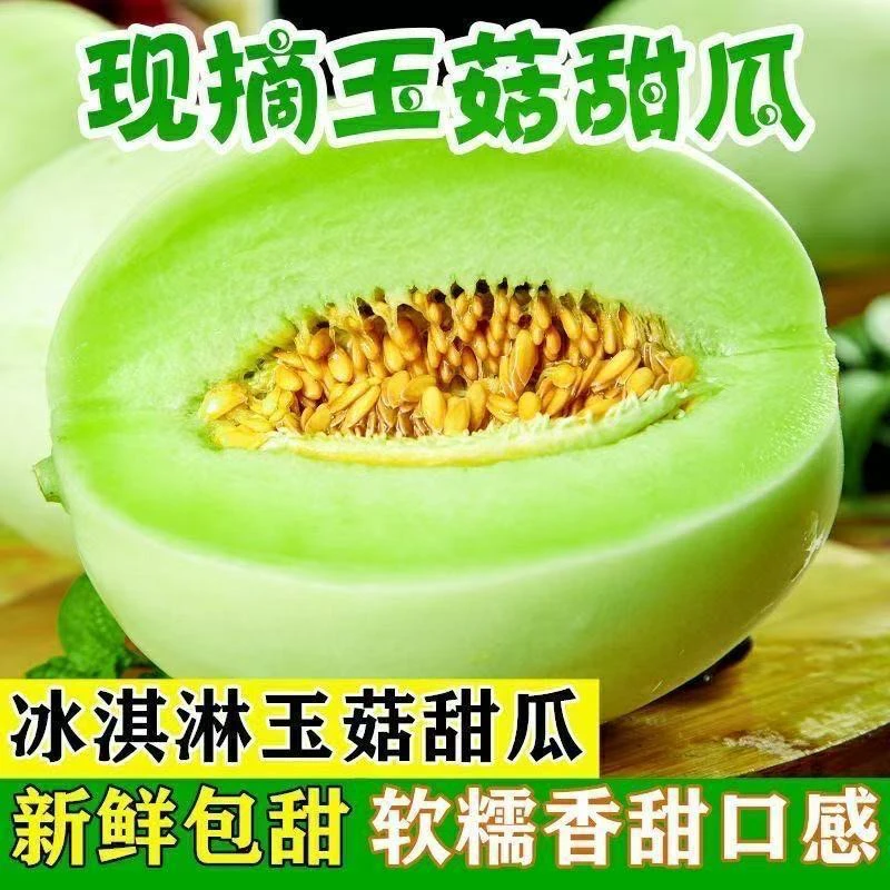 山东玉菇甜瓜冰淇淋新鲜水果批发整箱当季蜜瓜香瓜非哈密瓜羊角