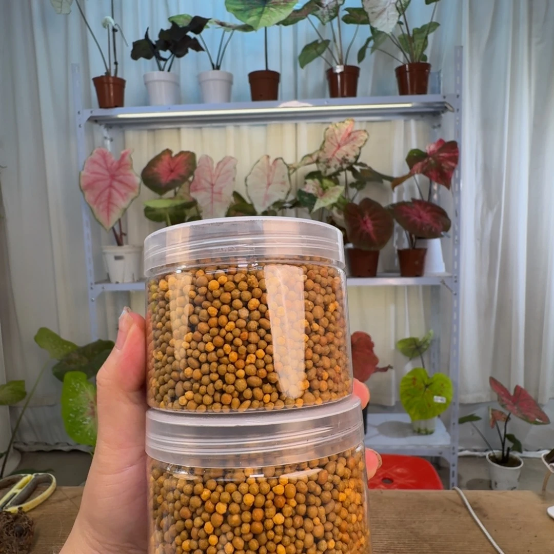 无花朵缓释肥   1斤装