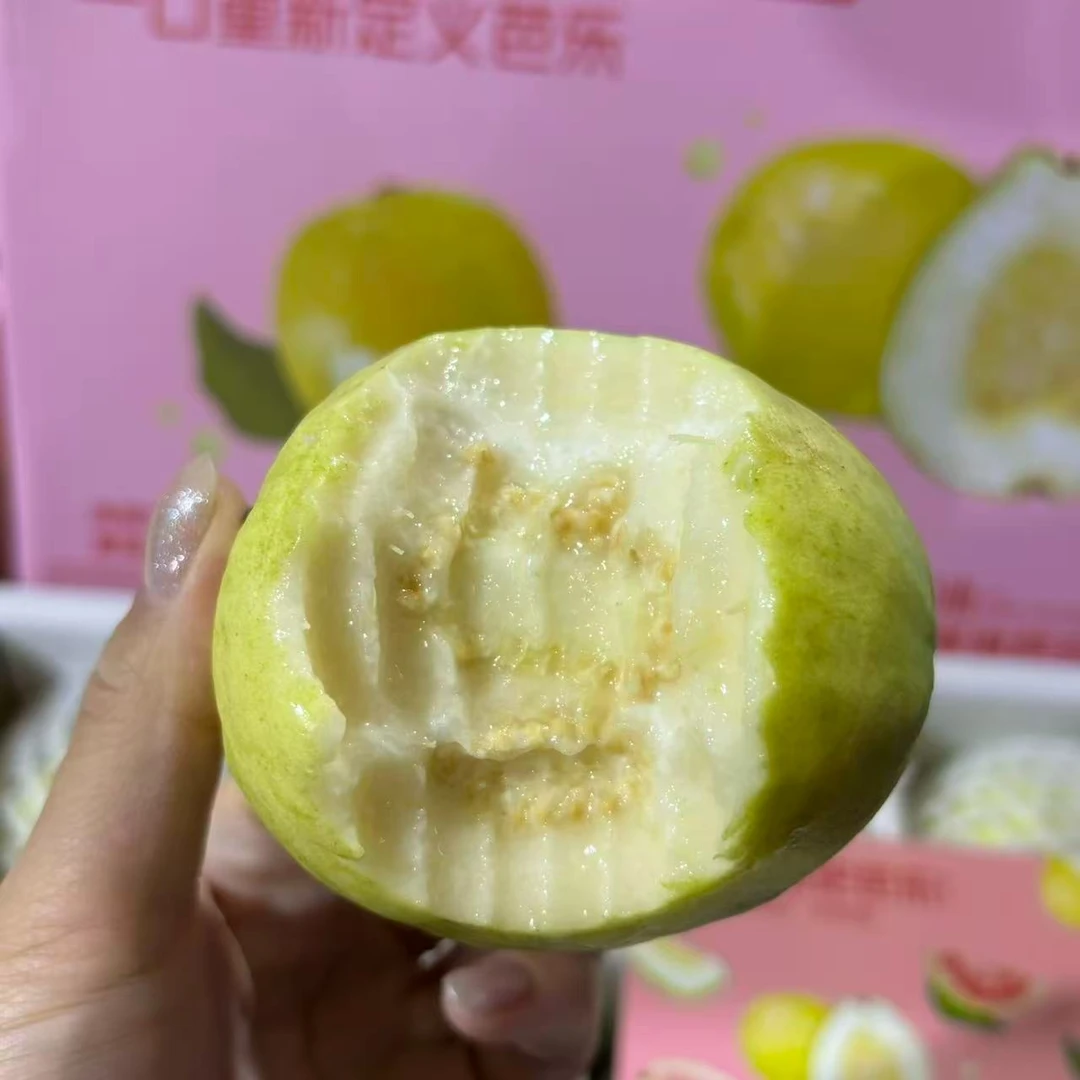 【鲜果速送】植物君奶油芭乐