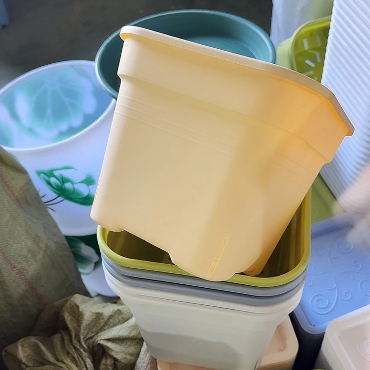 方25口径5个无托米黄新款