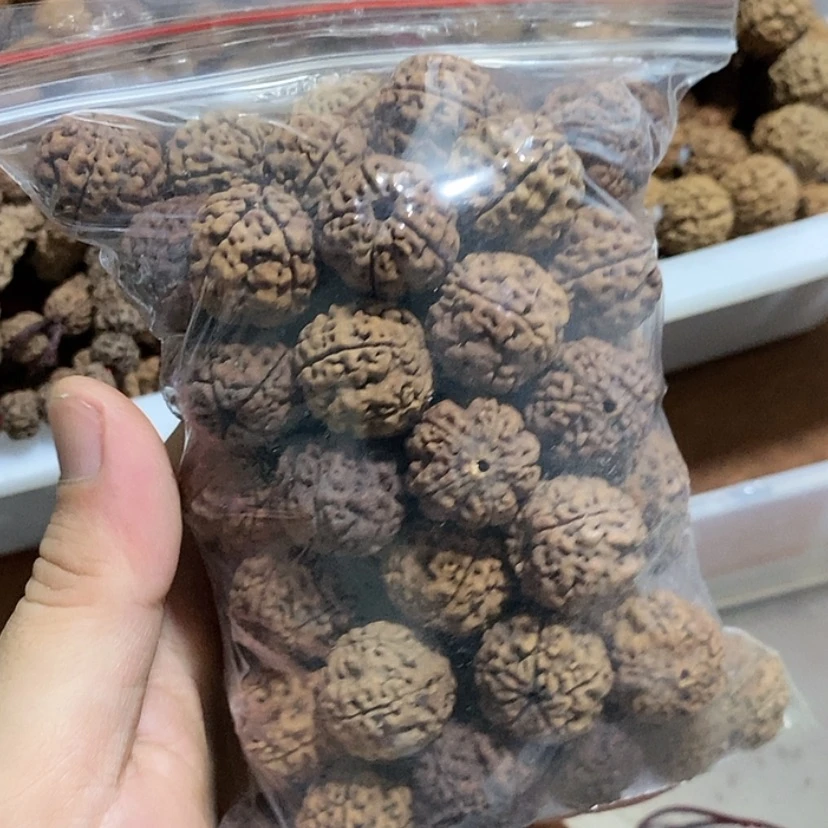 【闪购商品】金刚菩提把件鹦*鸟散籽