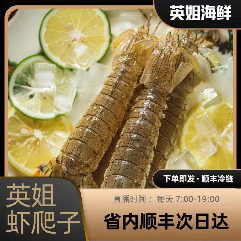 中号公母混虾爬2斤起限沈阳市内五区上汽3分钟【保鲜不保活】