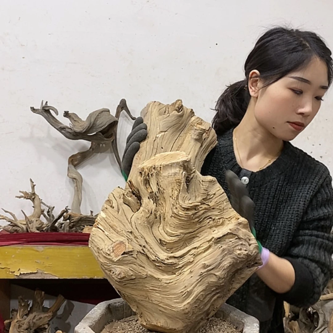 【闪购商品】柏木上****签我们都是好孩子