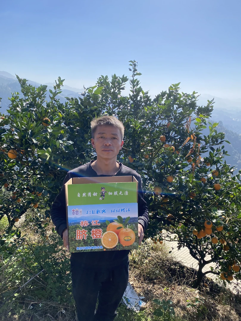 小阿辉贵州村超胜地榕江脐橙