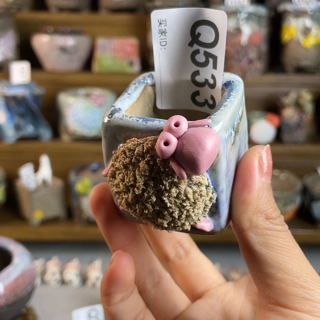 小白孤品 立体小羊盆 内口3.2左右