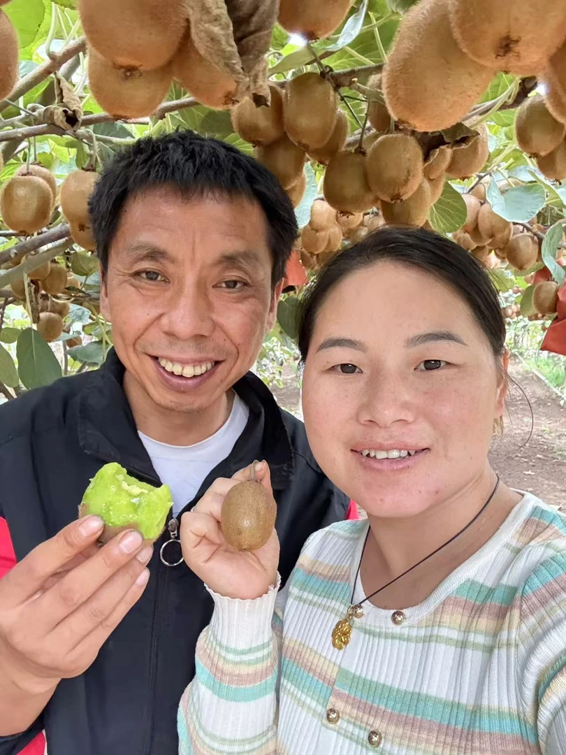 陕西眉县正宗徐香猕猴桃现摘现发营养丰富猕猴桃口碑第一名