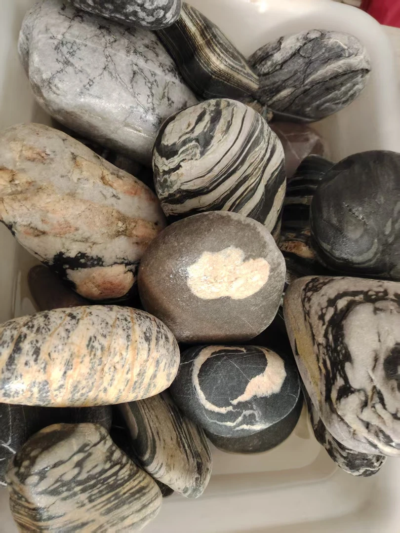 新疆盆景石画面石20至235