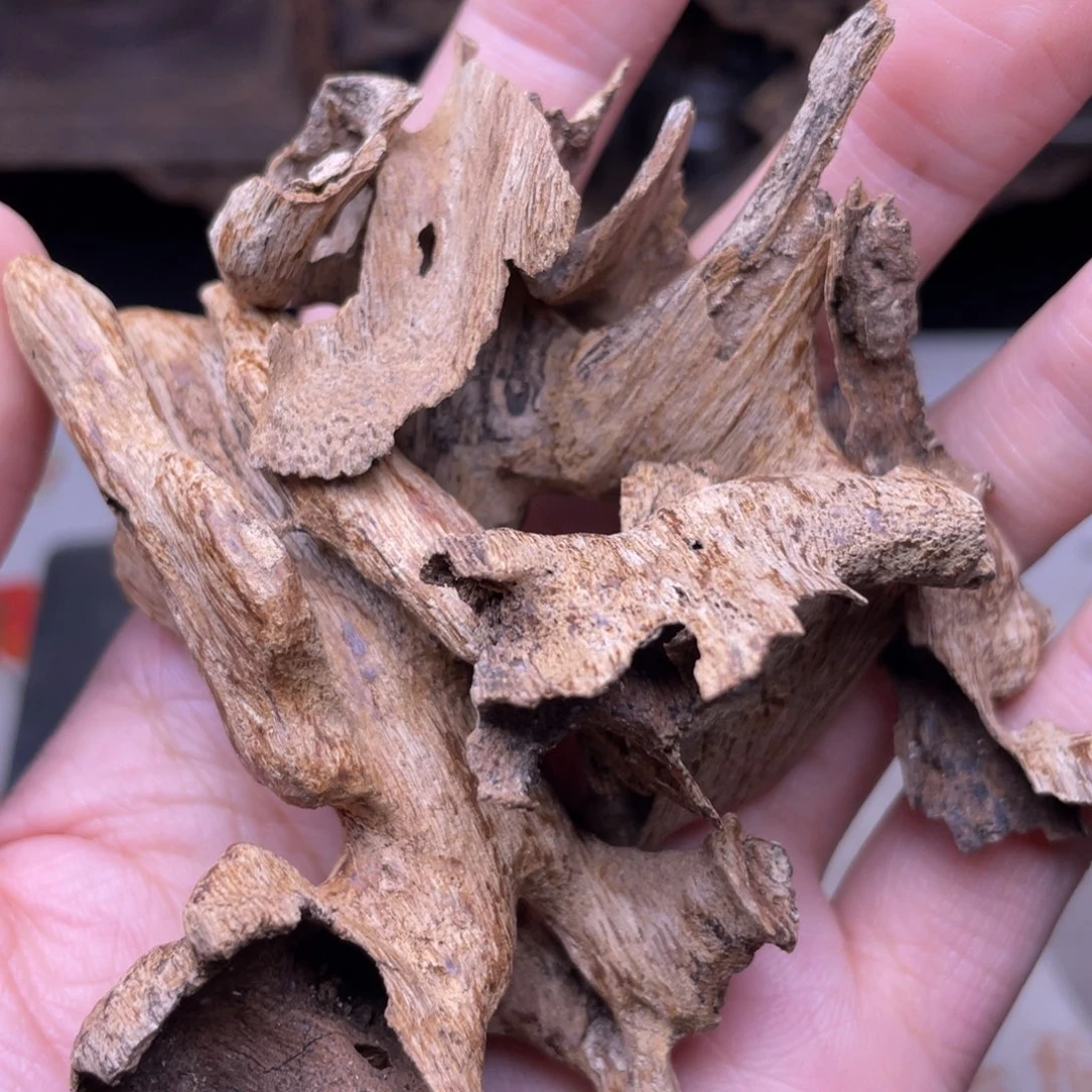 香榧木海南文昌红土虫漏10克