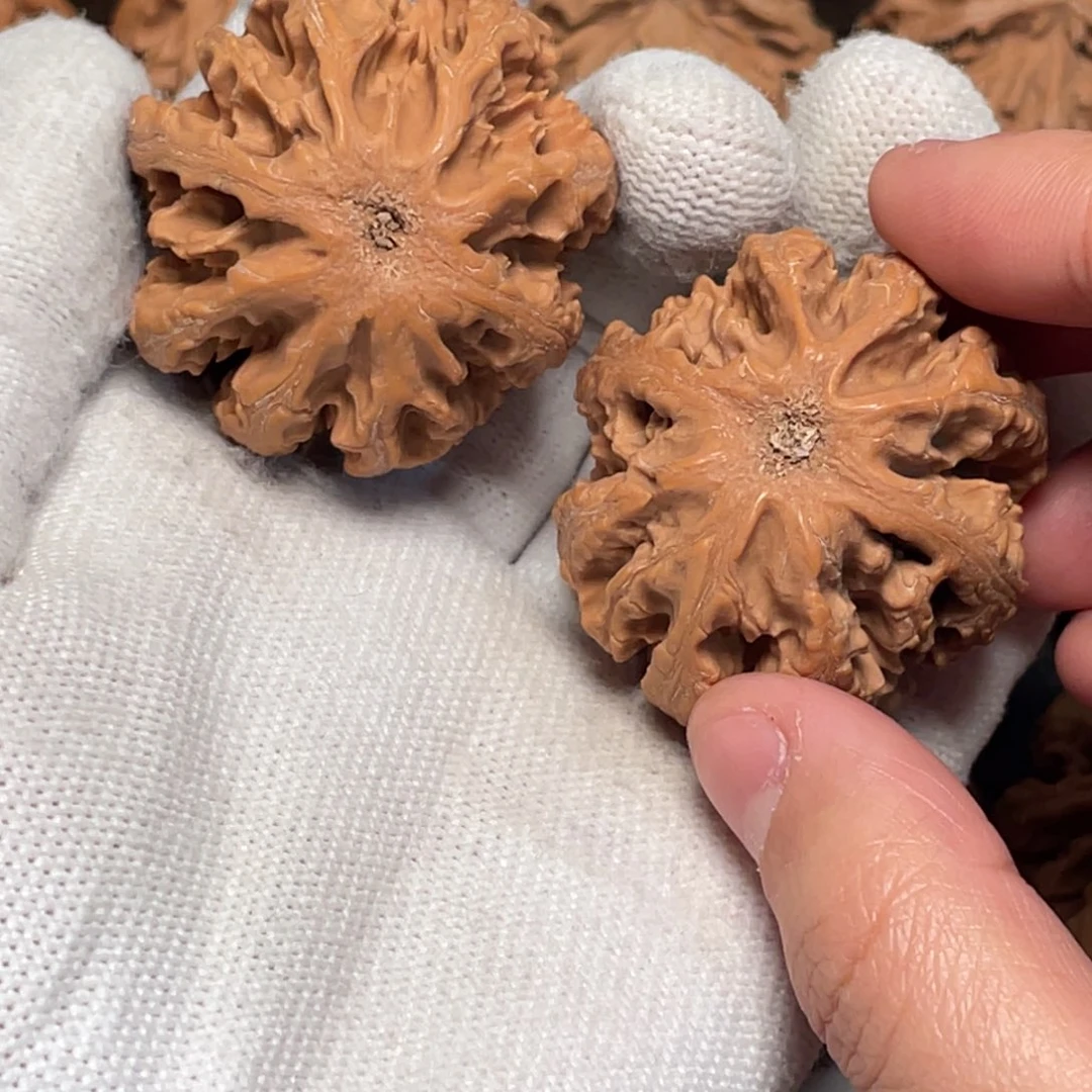 永***恒把件桃核8秦岭灯笼野生小众