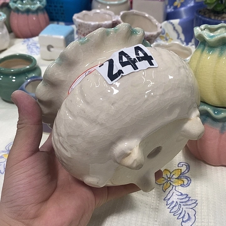花盆抢购清货带微暇