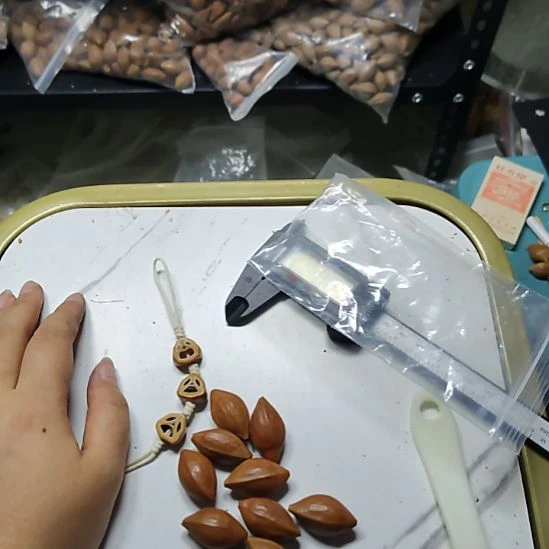 基***睿吊坠橄榄核两花散籽