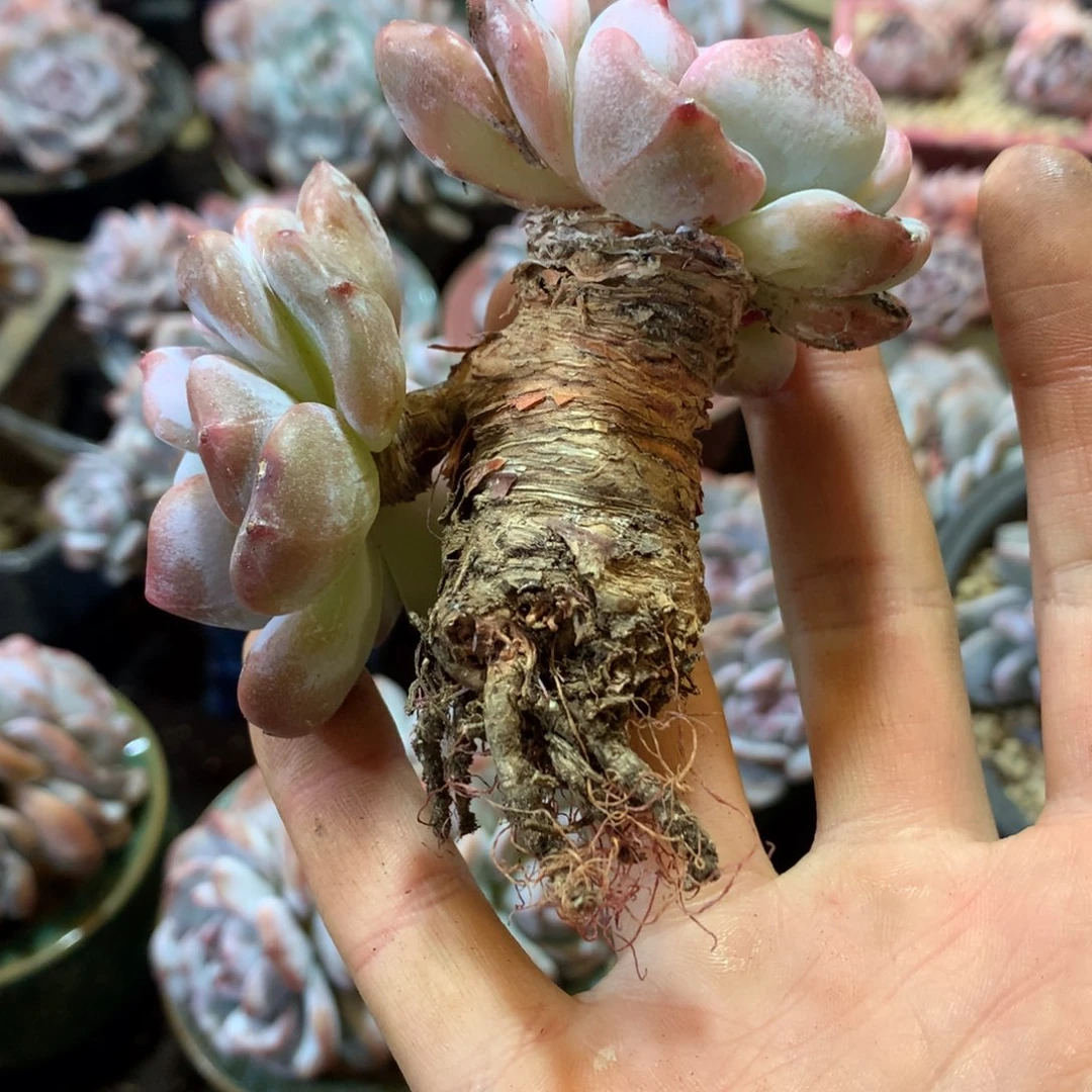 哈哈哈哈哈哈哈哈哈哈