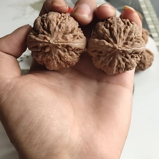文玩核桃闪购46霸王龙
