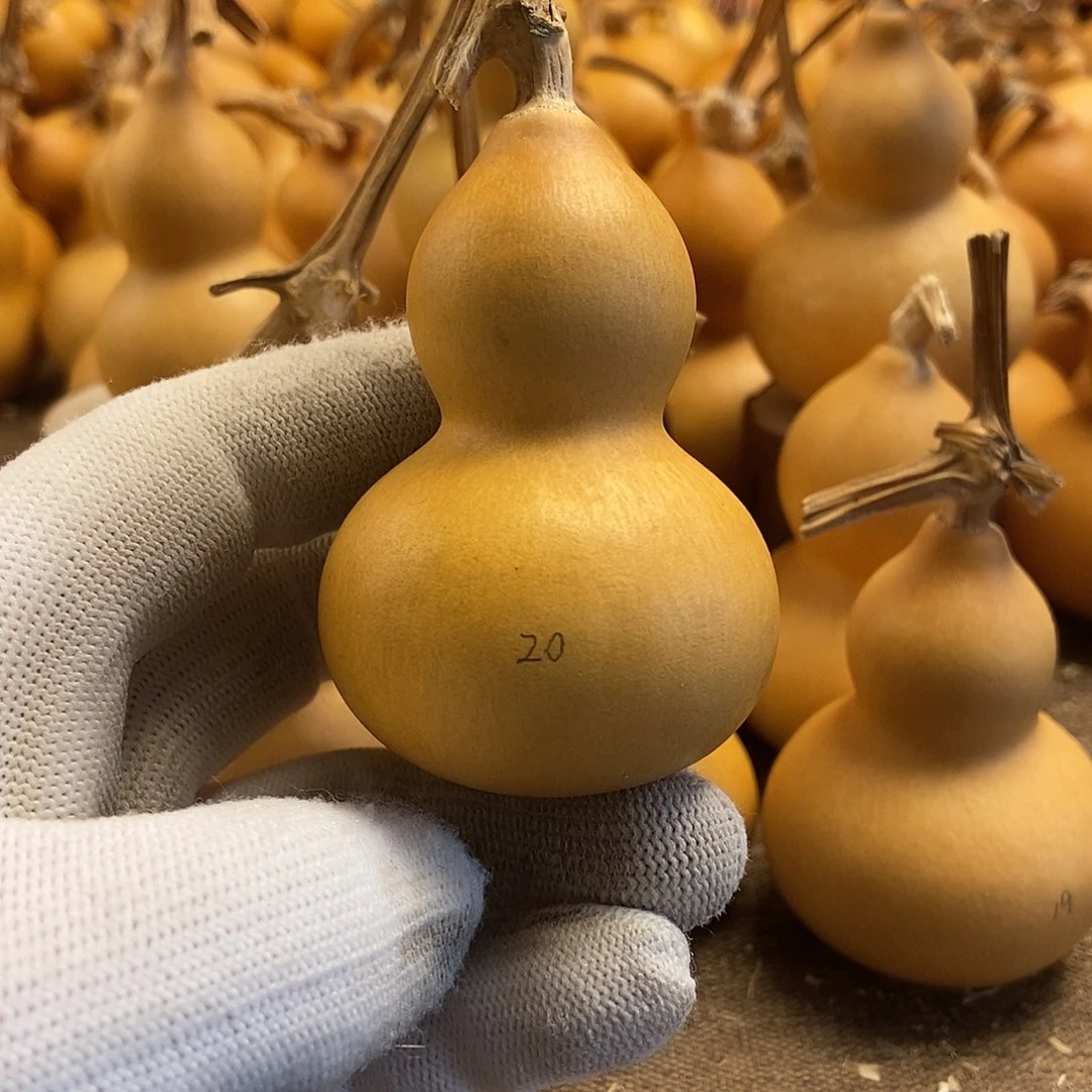 文玩葫芦 完美主义者 慎拍20