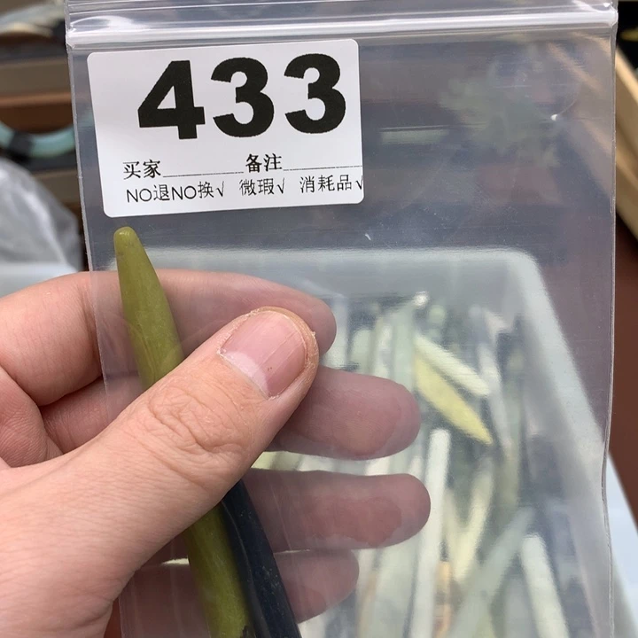 蛇纹石玉发饰合金缘*