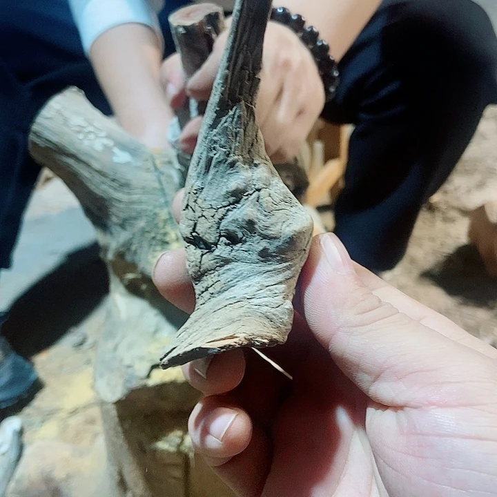 婉***拍柏木太行山区柏木木