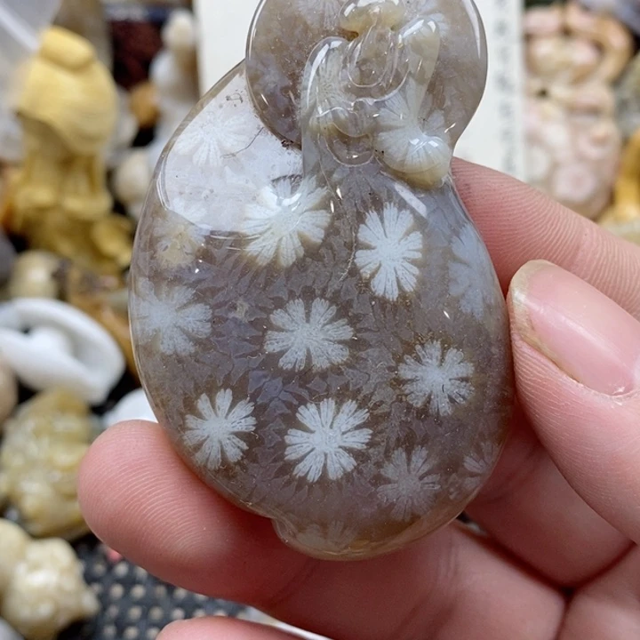 颈饰未镶嵌硅化珊瑚（珊瑚玉）