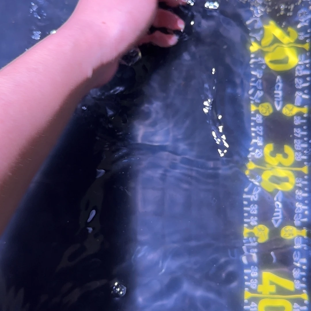 海水盈江1  东奈1