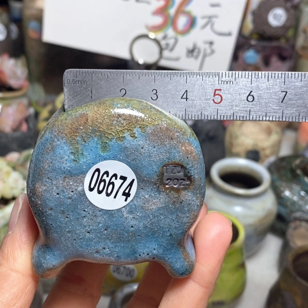 花盆拍3送一个小礼物