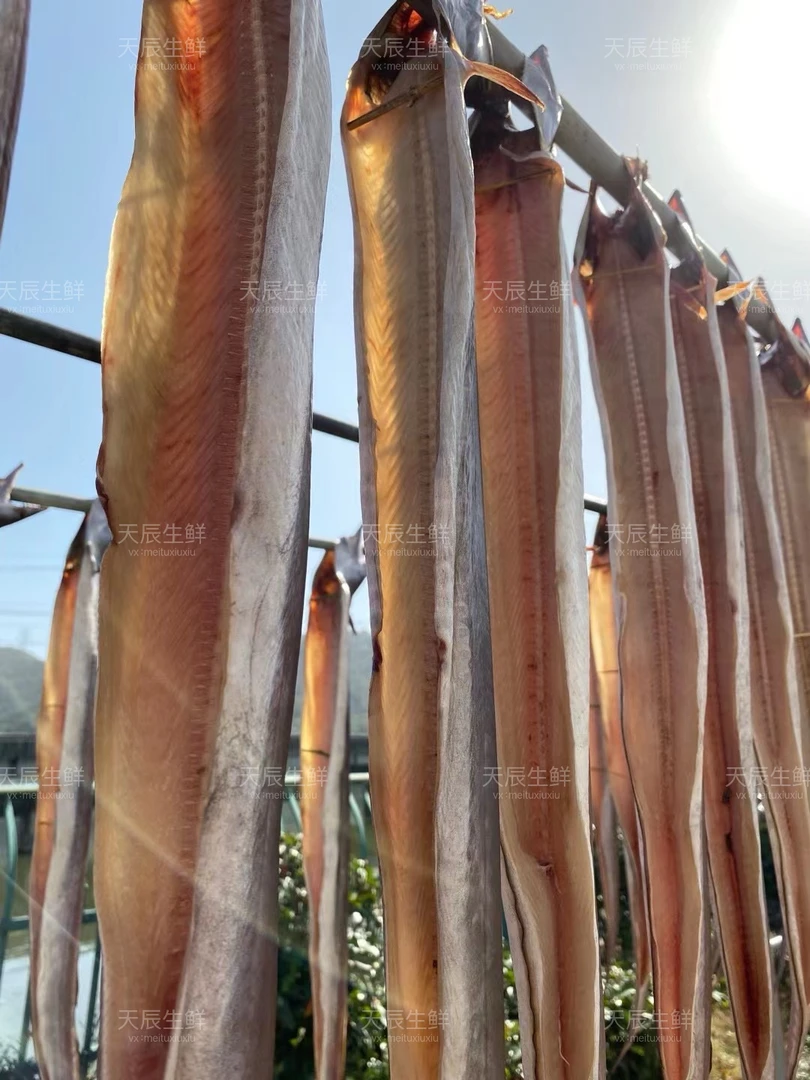 舟山野生单拖风鳗鲞