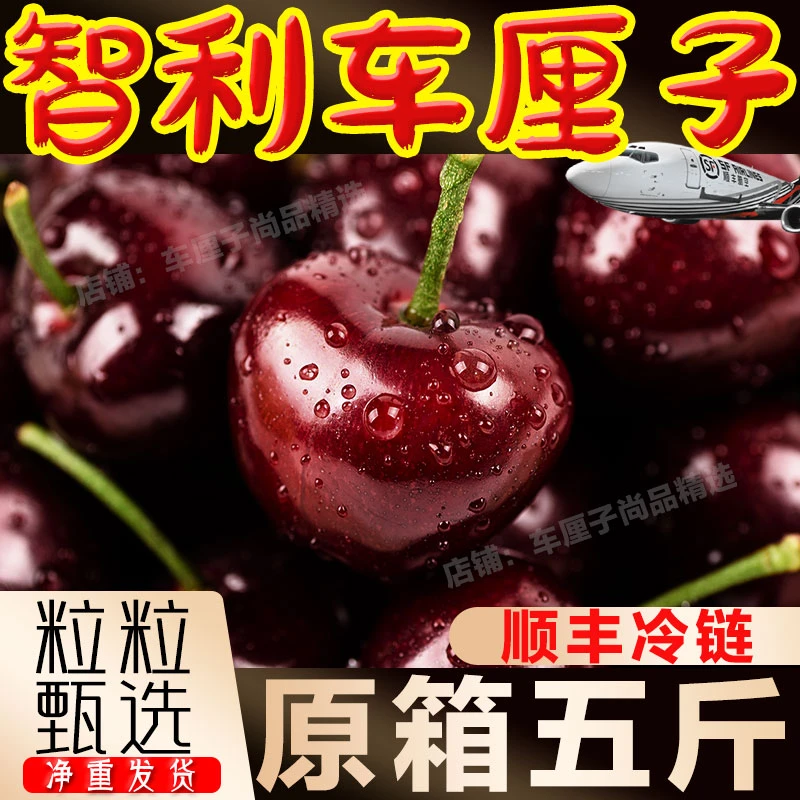 【现货速发】智利进口车厘子桑提娜礼盒3J新鲜水果内附果径卡海运