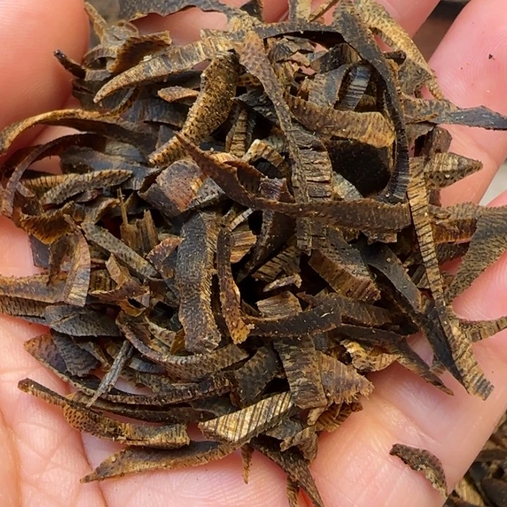 沉香摆件凹身沉水切丝50克