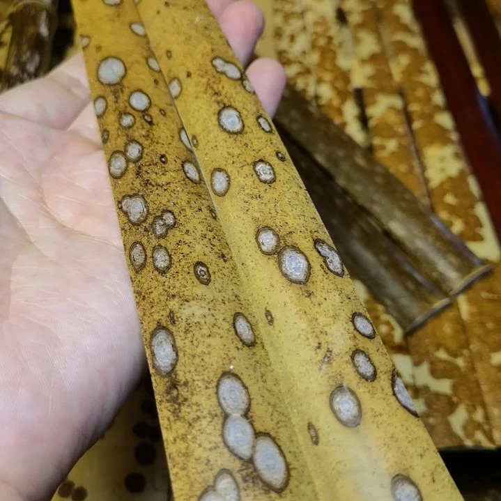 扇子白花梅鹿扇子料宽2.4长29