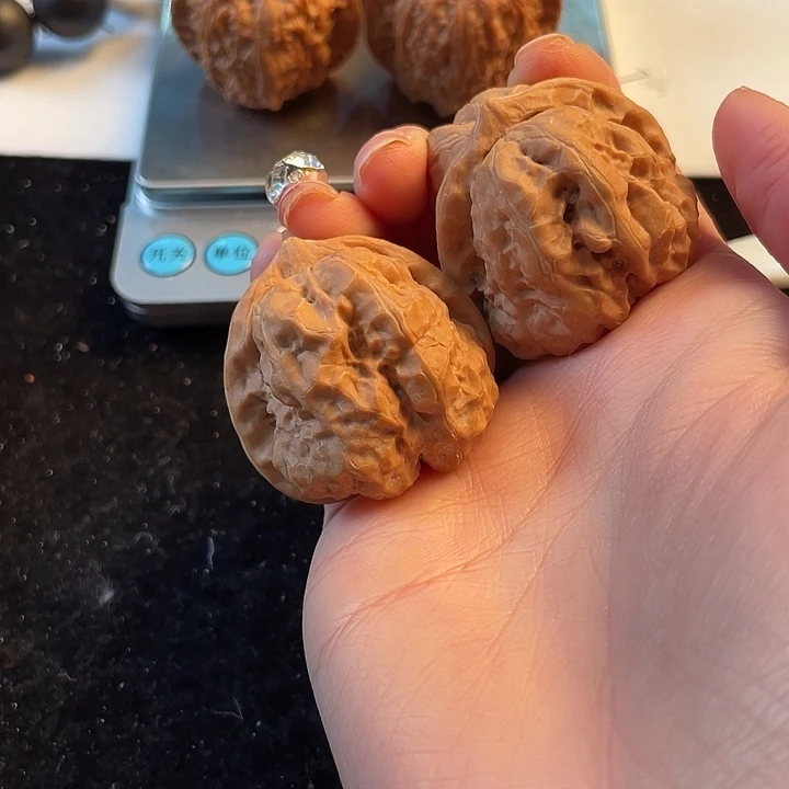 大叶紫檀（黑酸枝木类）