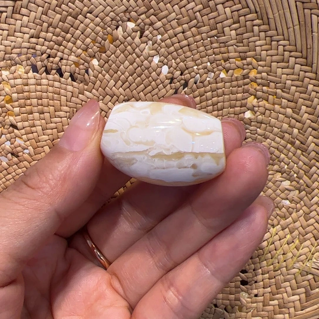 未镶嵌蜜蜡裸石瓷白浓蜡马蹄珠