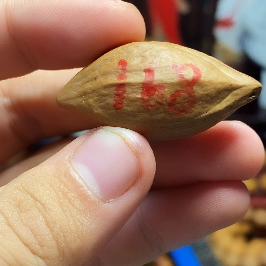 橄榄核手串/手链bbbhhjjjjjhhhhjjjn