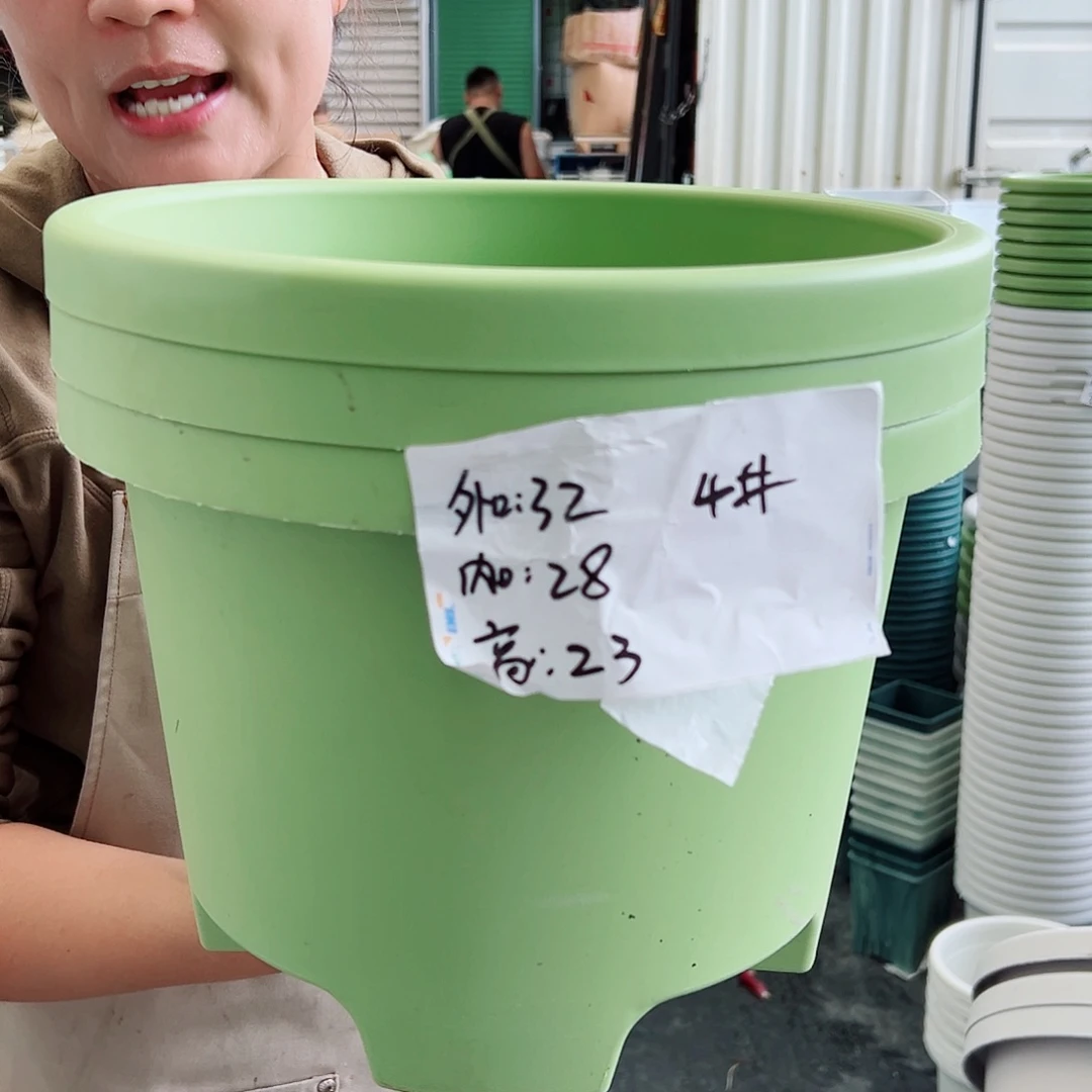 球根盆4#果绿色5个无托