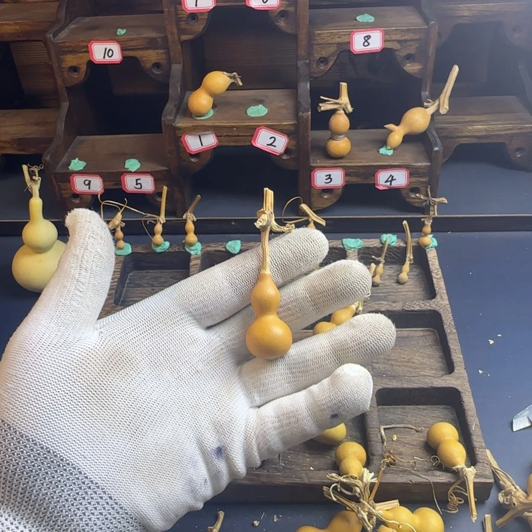 P*我也是很喜欢这个节目了这个发布会