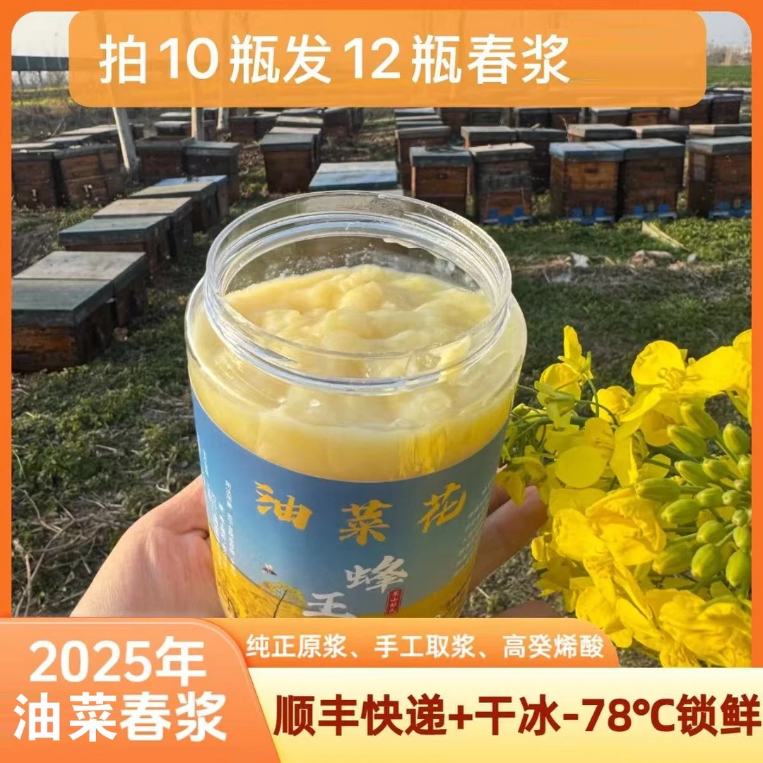 【10瓶送2瓶】2025年油菜蜂王浆 纯正春浆  手工采集500g/瓶