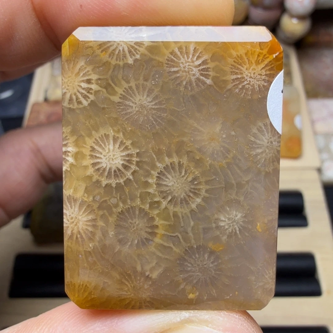 硅化玉未镶嵌纯天然色有机玉石保真色瑕疵特价不退换