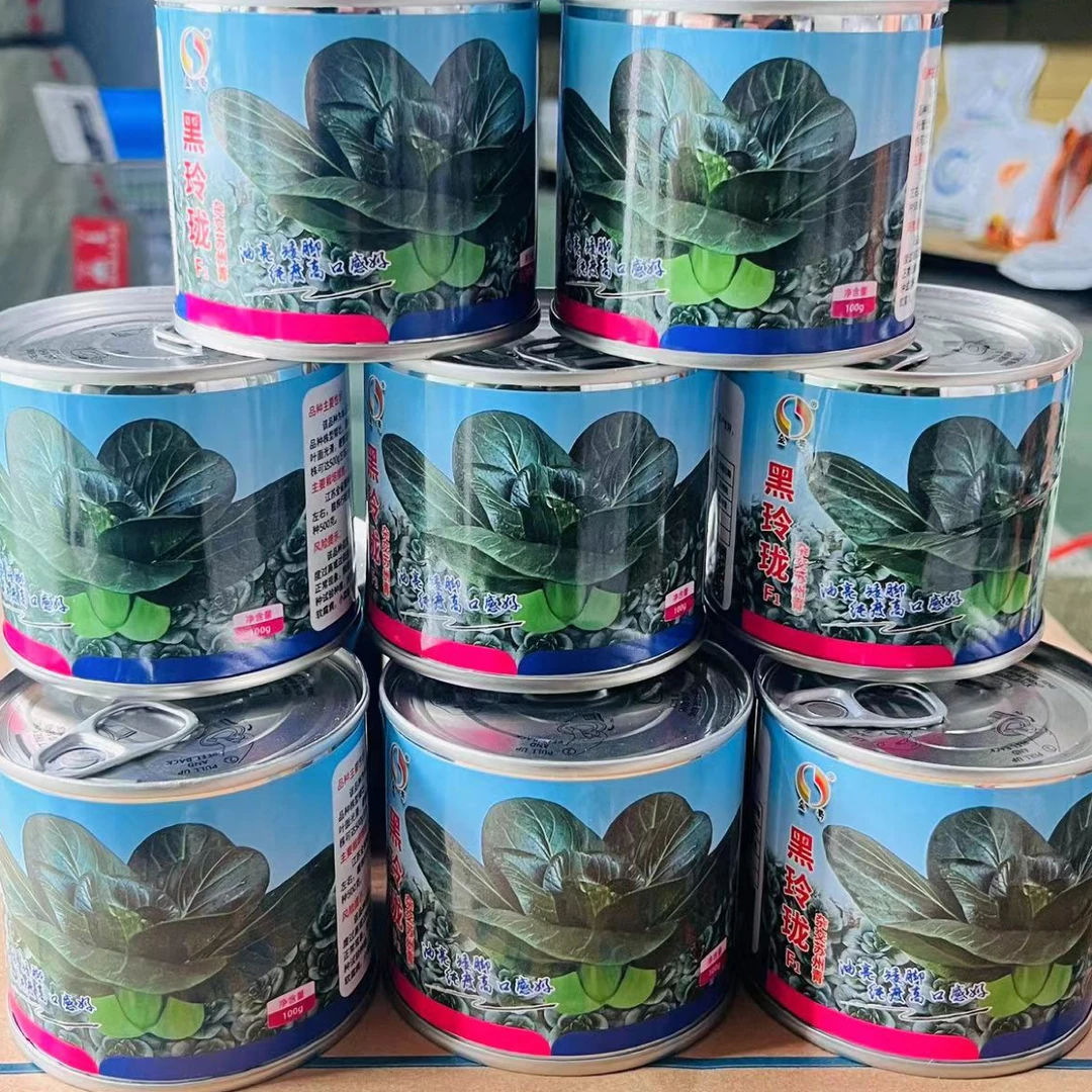黑玲珑 矮脚苏州青