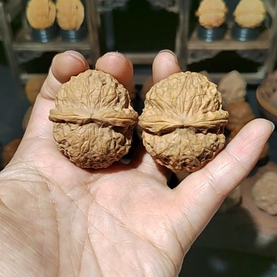 把件文玩核桃福利云铁粗筋黄金40尺