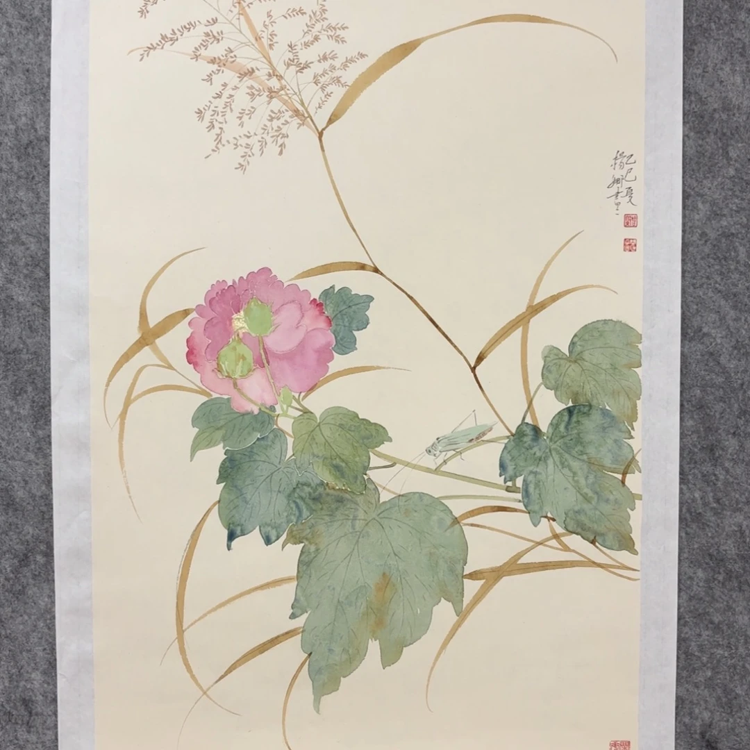 D***G国画杨老师花鸟作品