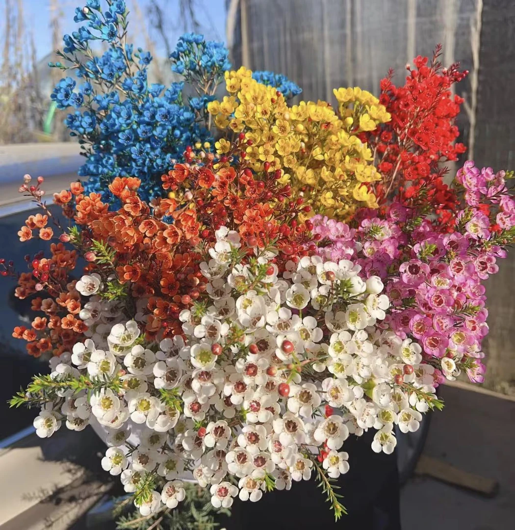 【加购款】加购款腊梅 需要和百合一起拍 鲜花花卉