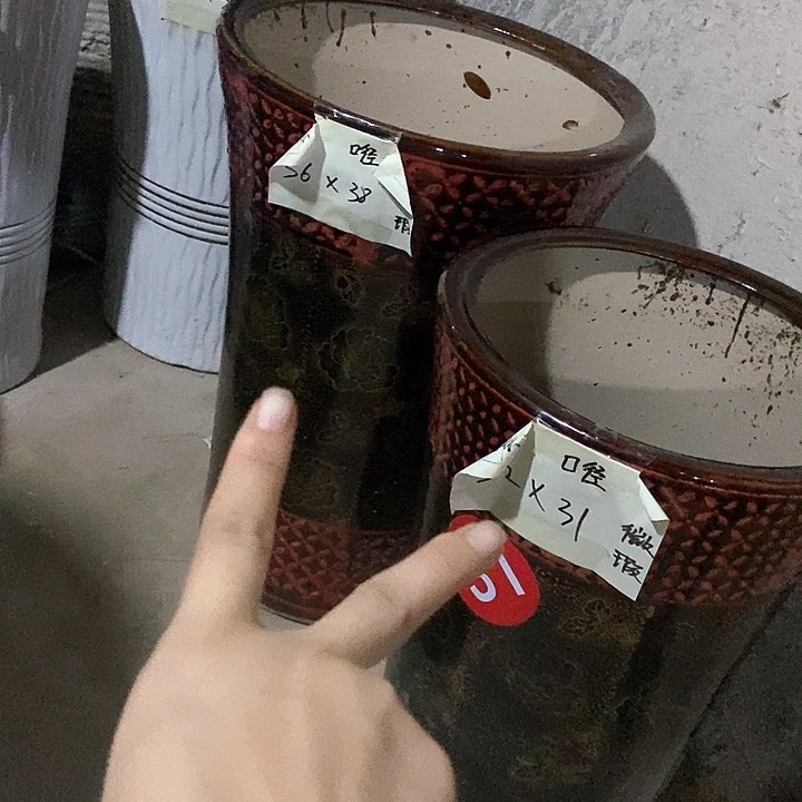 高温烧制金玫瑰一套