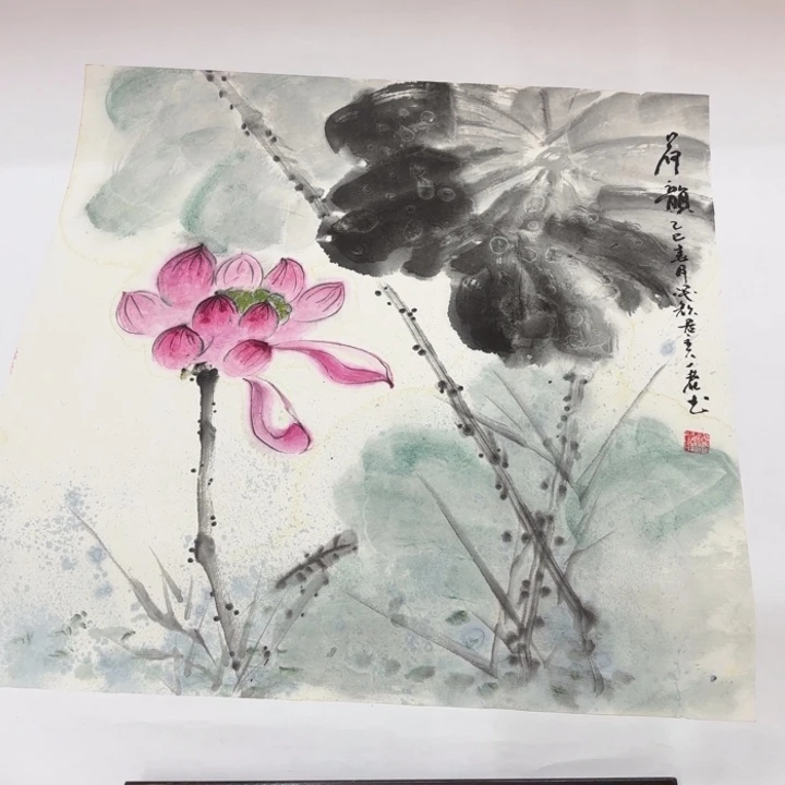 国画花鸟等多种鸟类的栖息地和