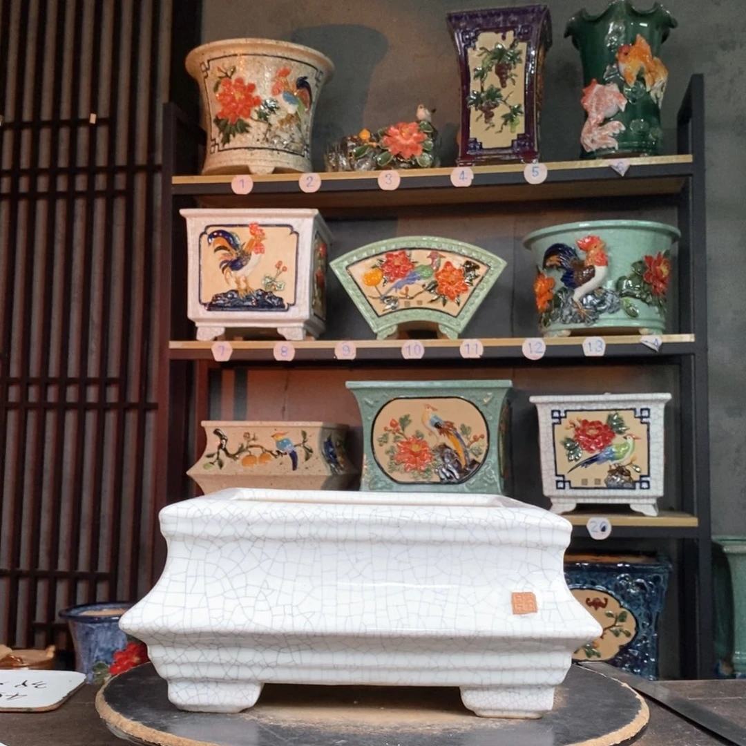 茉***花35老粉福利价。