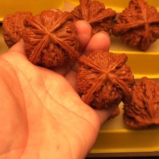 博***楹核桃和他的核桃核桃核桃