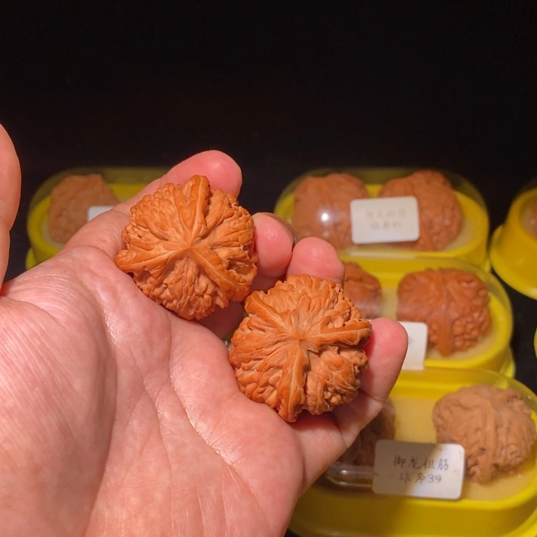 柳*风38御龙粗筋正球奔精品对