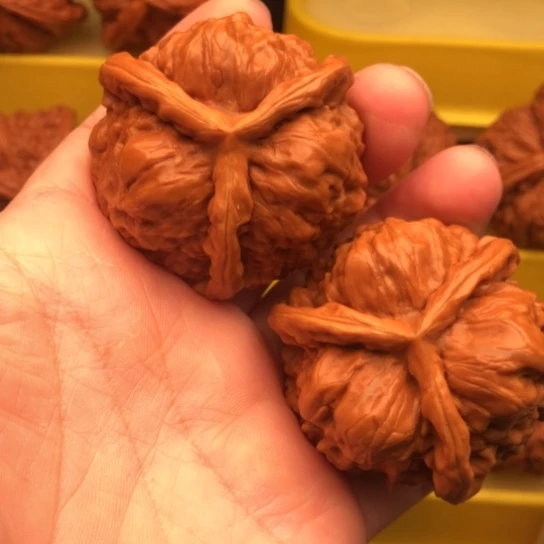 博***仔核桃核桃核桃核桃核桃