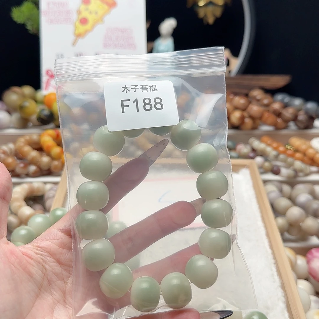 吊坠菩提根/象牙果薄*芽F188