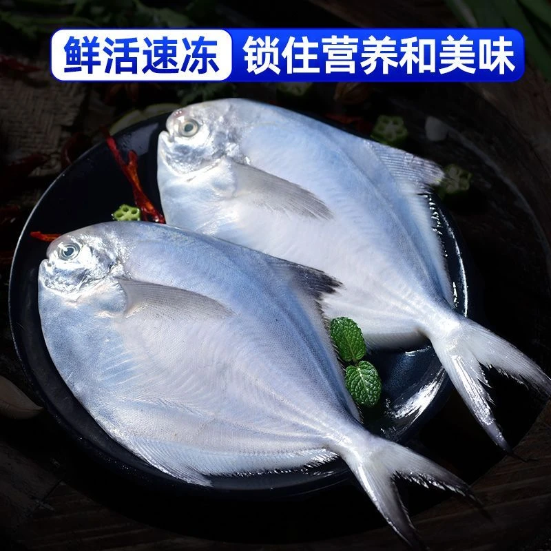 【京东冷链发货】海捕银鲳鱼 肉肥新鲜 一斤/四条 刺少肉嫩