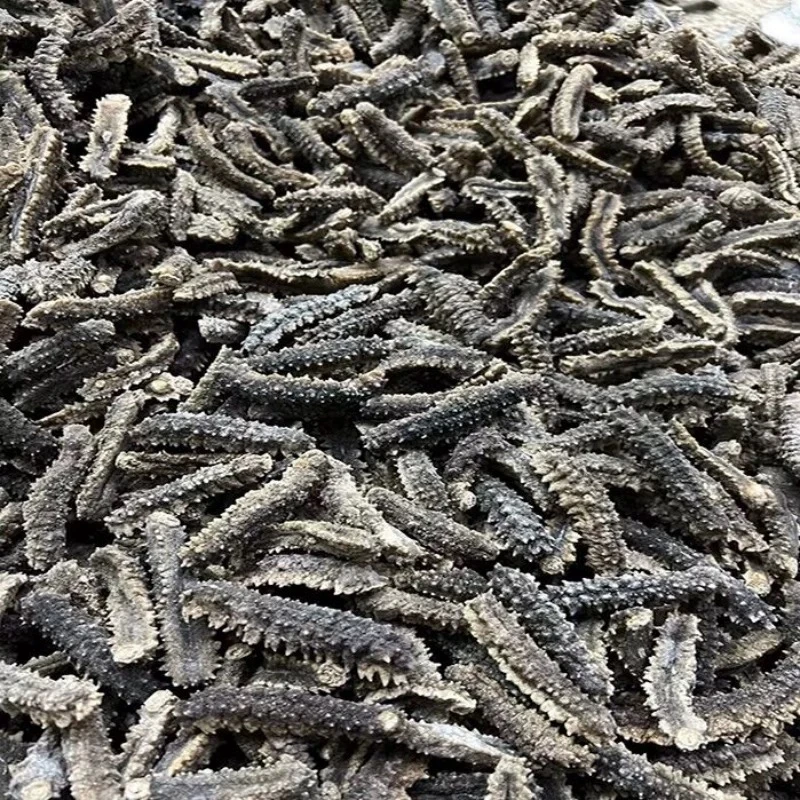 【滋补佳品】110头大连海参